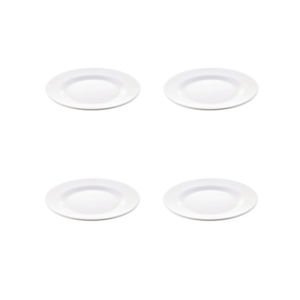 KIRILMAZ TABAK 25 CM (4 LÜ)