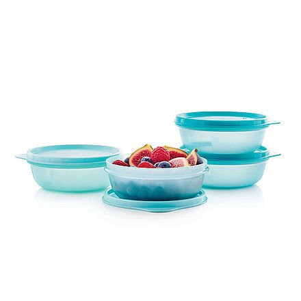 Tupperware Buzdolabı Saklama Kabı 300 ml 4lü Set