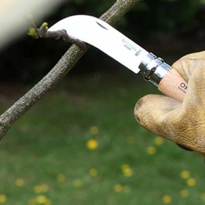Opinel No 10 Inox Kayın Saplı Paslanmaz Çelik Bağ Çakısı